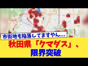 秋田県「クマダス」、限界突破【2chまとめ】【2chスレ】【5chスレ】