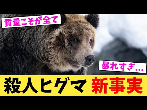 殺人ヒグマ,新事実【2chまとめ】【2chスレ】【5chスレ】
