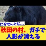 秋田の村、ガチで人影が消える【2chまとめ】【2chスレ】【5chスレ】