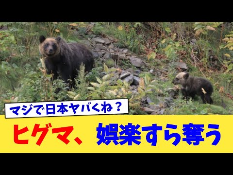 ヒグマ、娯楽すら奪う【2chまとめ】【2chスレ】【5chスレ】