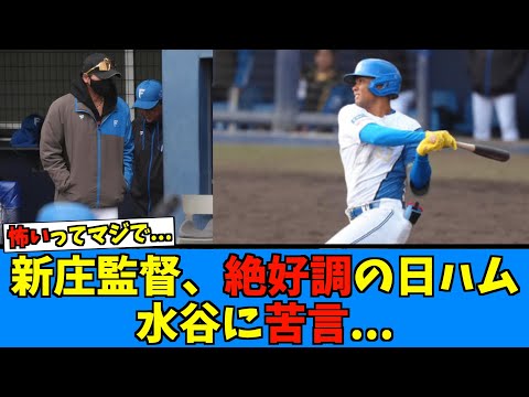 【恐怖】日ハム水谷、絶好調すぎて新庄監督まさかの苦言！？www【日ハム なんJ 反応集】ファイターズ