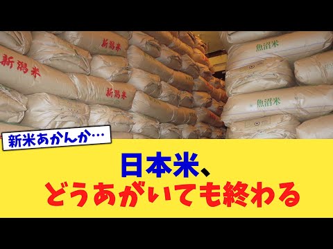 日本米、どうあがいても終わる【2chまとめ】【2chスレ】【5chスレ】