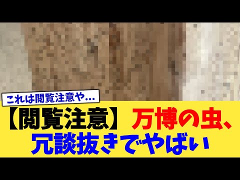 【閲覧注意】万博の虫、冗談抜きでやばい【2chまとめ】【2chスレ】【5chスレ】