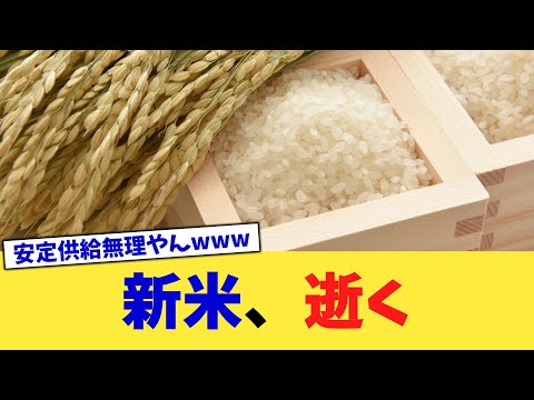 新米、逝く【2chまとめ】【2chスレ】【5chスレ】