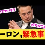 イーロン,緊急事態【2chまとめ】【2chスレ】【5chスレ】