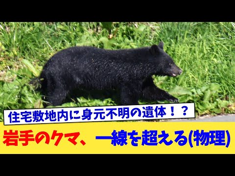 岩手のクマ、一線を超える(物理)【2chまとめ】【2chスレ】【5chスレ】