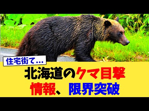 北海道のクマ目撃情報、限界突破【2chまとめ】【2chスレ】【5chスレ】