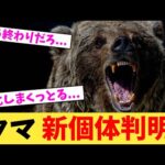 クマ 新個体判明 【2chまとめ】【2chスレ】【5chスレ】
