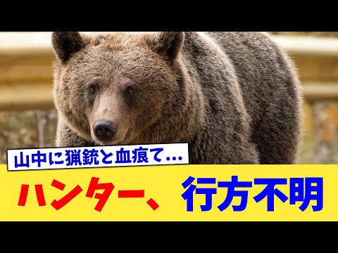 ハンター、行方不明【2chまとめ】【2chスレ】【5chスレ】