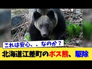 北海道江差町のボス熊、駆除【2chまとめ】【2chスレ】【5chスレ】