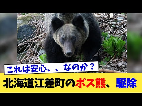 北海道江差町のボス熊、駆除【2chまとめ】【2chスレ】【5chスレ】