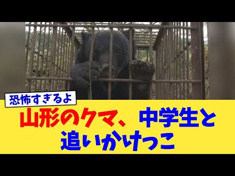 山形のクマ、中学生と追いかけっこ【2chまとめ】【2chスレ】【5chスレ】