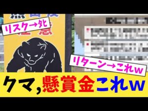クマ,懸賞金これw【2chまとめ】【2chスレ】【5chスレ】