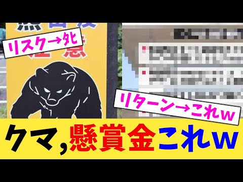 クマ,懸賞金これw【2chまとめ】【2chスレ】【5chスレ】