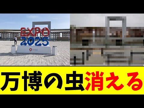 万博の虫 消える【2chまとめ】【2chスレ】【5chスレ】